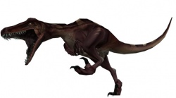 Raptor tra.jpg